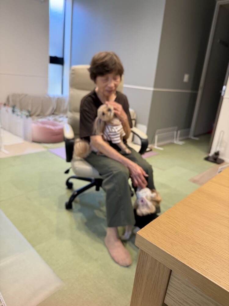 おばあちゃんの膝の上でくつろぐコタとるんちゃん