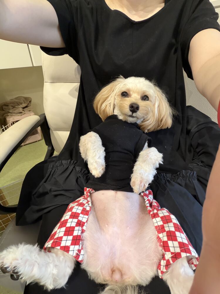 ママに抱っこされてお腹を見せるるんちゃん