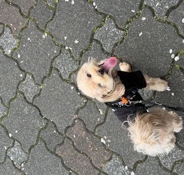 こたろう