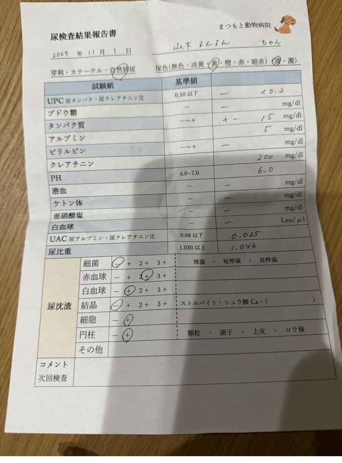 尿検査結果報告書