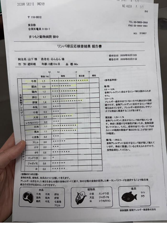 るんるん リンパ球反応検査結果2回目