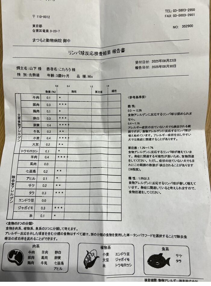 こたろう リンパ球反応検査結果