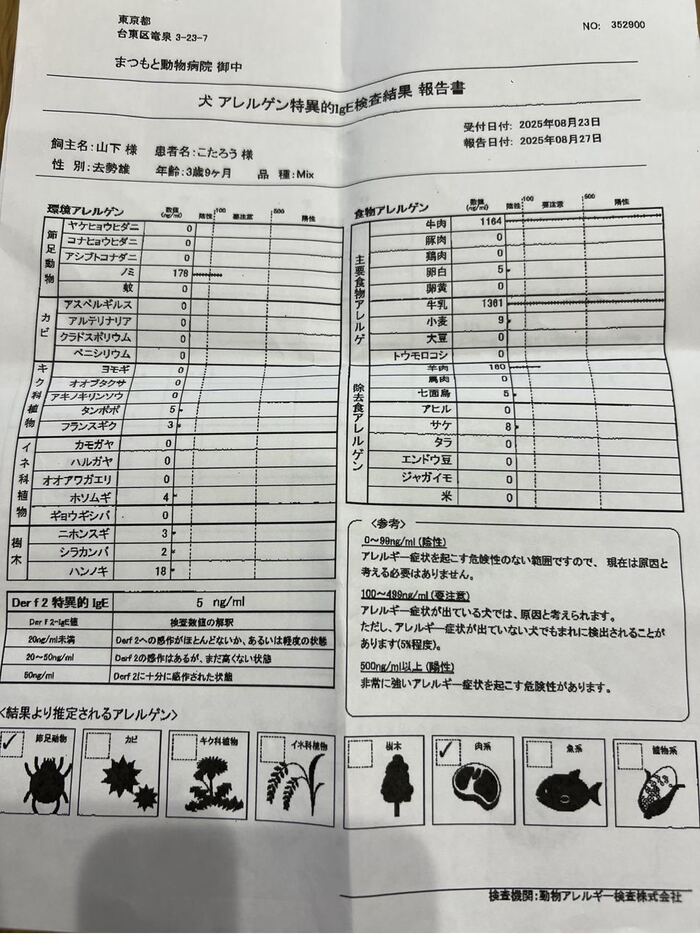 こたろう IgE検査結果