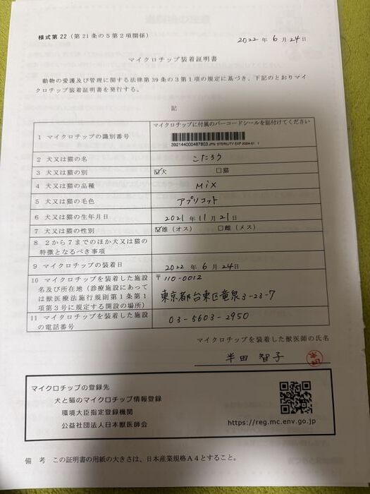 こたろう マイクロチップ装着証明書