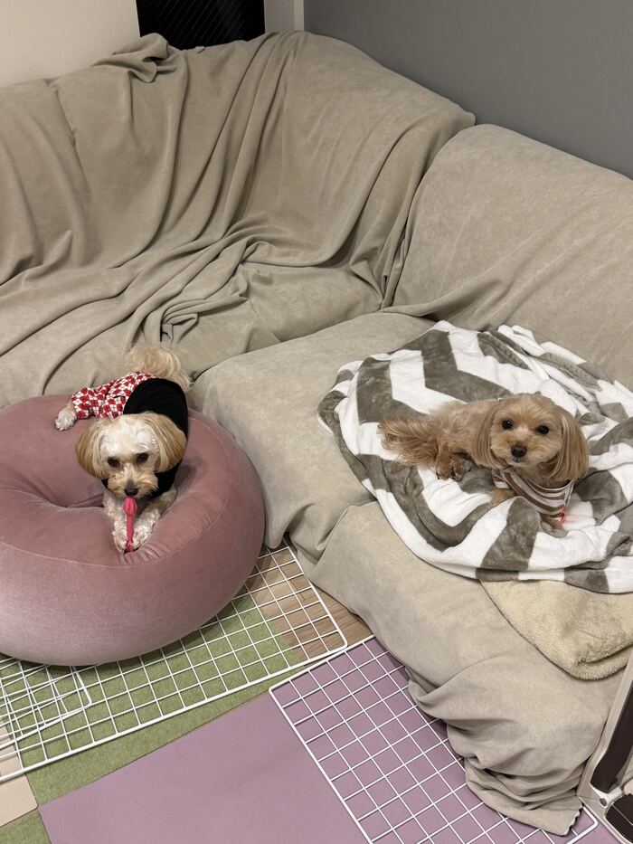 別々にまったりする2人
