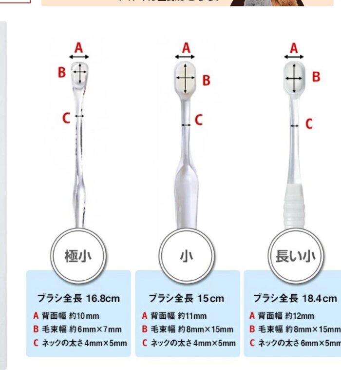 サイズ比較(極小・小・長い小)