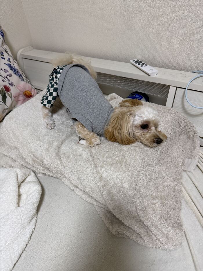 顔を横に向けて眠るるんるん