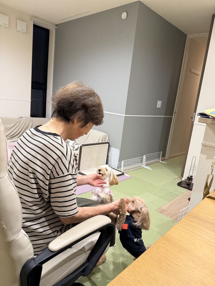 遊びに来た母におやつをもらうるんちゃんとコタ