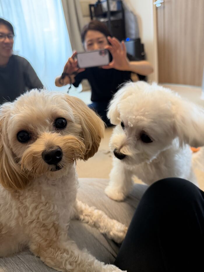顔を近づけ合うるんるんとマルちゃん