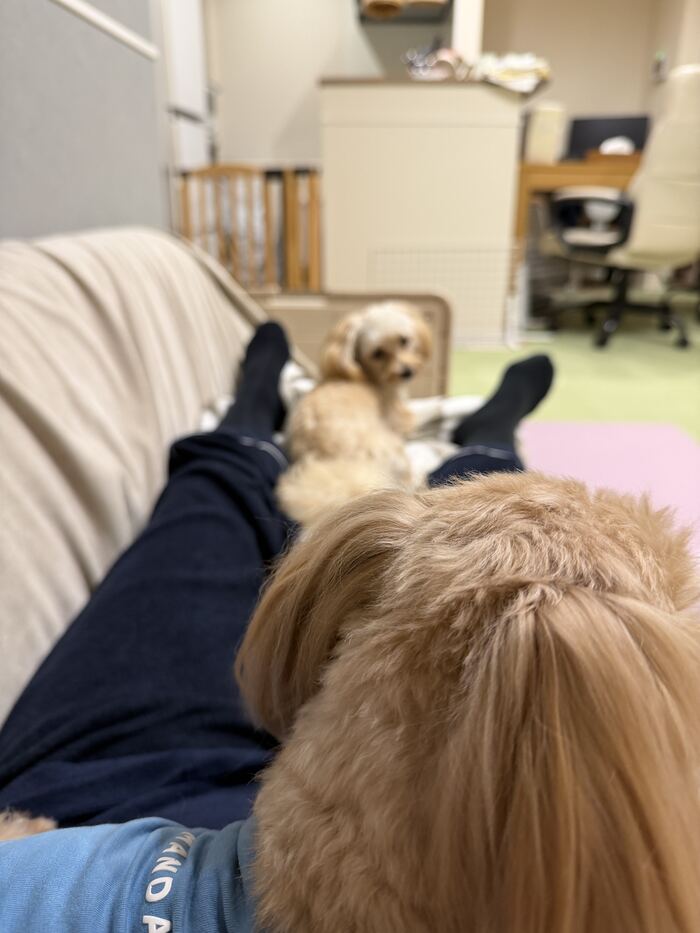 並んでくつろぐ様子