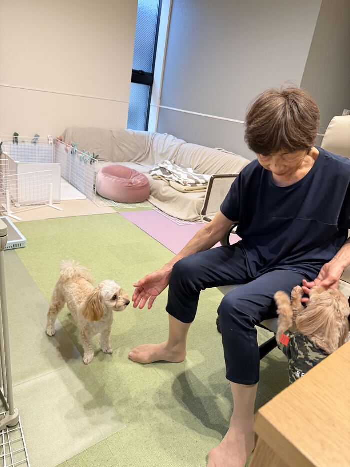 おばあちゃんの手におやつをねだるるんちゃん