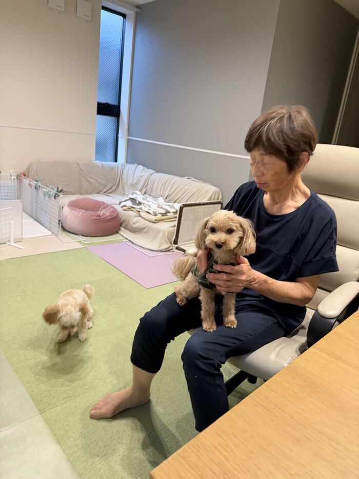 膝の上のコタとその横を歩くるんちゃん